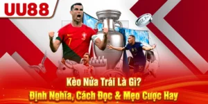 Kèo Nửa Trái Là Gì? Định Nghĩa, Cách Đọc & Mẹo Cược Hay