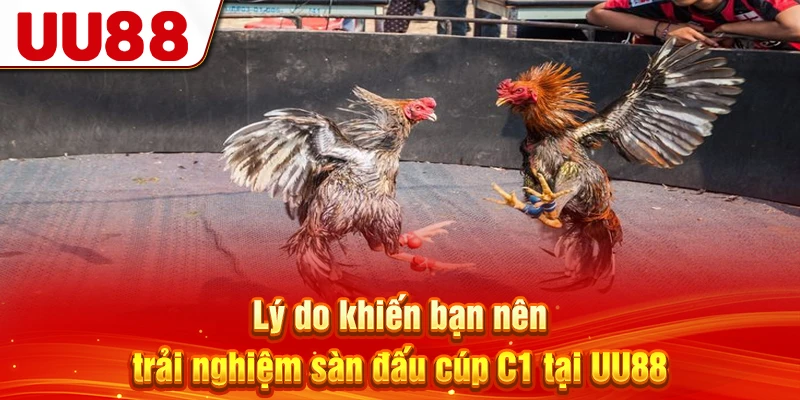 Lý do khiến bạn nên trải nghiệm sàn đấu cúp C1 tại UU88